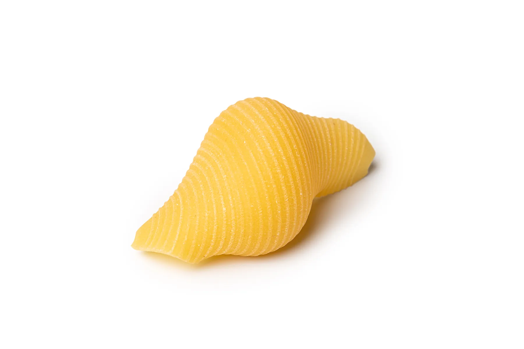 Conchiglioni
